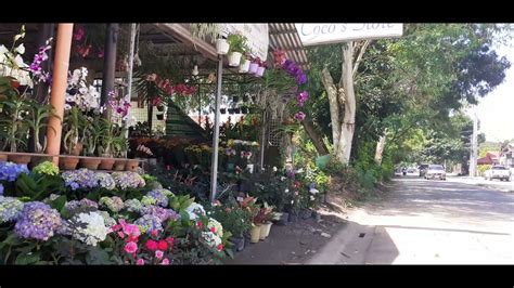 Flower Shop Laguna .